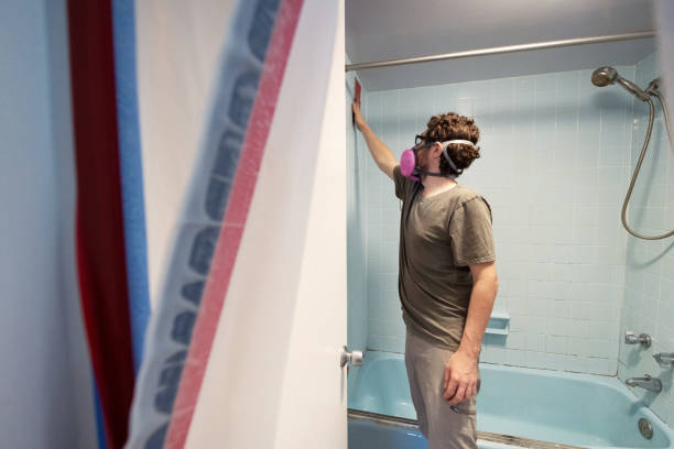 Professional Mold Removal in George West, TX