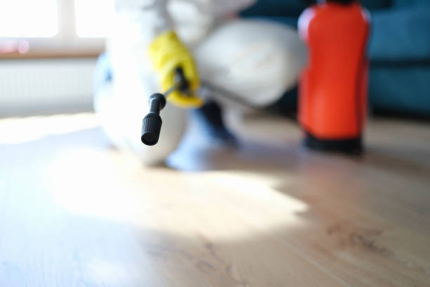 Best Black Mold Removal  in George West, TX
